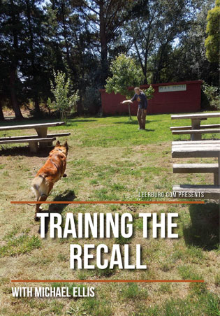 Training the Recall with Michael Ellis Cover Art