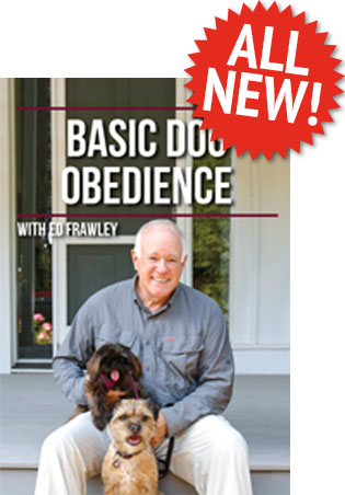 Basic Dog Obedience DVD Cover Art