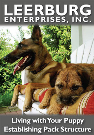Living with Your Puppy: Establishing Pack Structure Cover Art