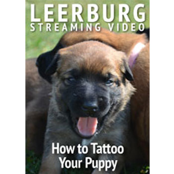 How to Tattoo Your Puppies Cover Art