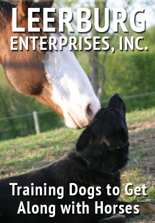 Training Dogs to Get Along with Horses Cover Art