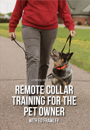 Remote Collar Training for the Pet Owner with Ed Frawley Cover Art
