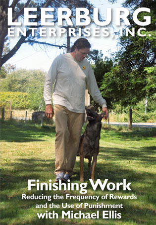 Finishing Work w/ Michael Ellis DVD Cover Art