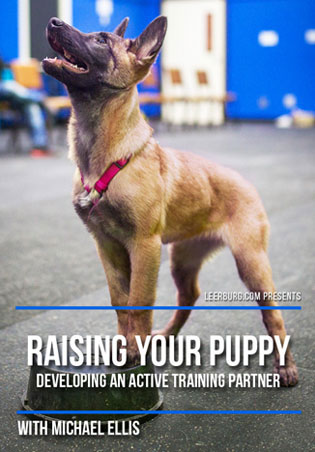 Raising Your Puppy with Michael Ellis Cover Art
