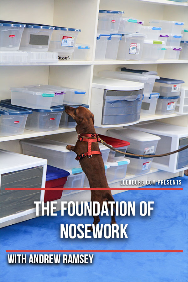 The Foundation of Nosework with Andrew Ramsey Cover Art