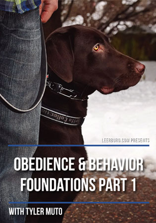 Obedience and Behavior Foundations Part I with Tyler Muto Cover Art