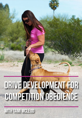 Drive Development for Competition Obedience with Tami McLeod Cover Art