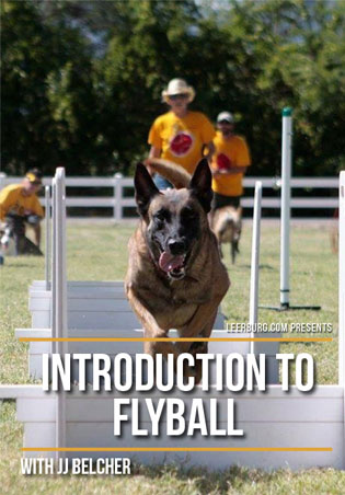 Introduction to Flyball with JJ Belcher Cover Art