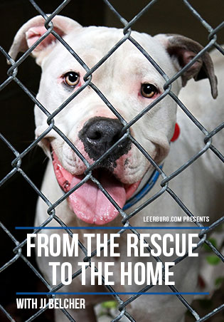 From the Rescue to the Home with JJ Belcher  Cover Art