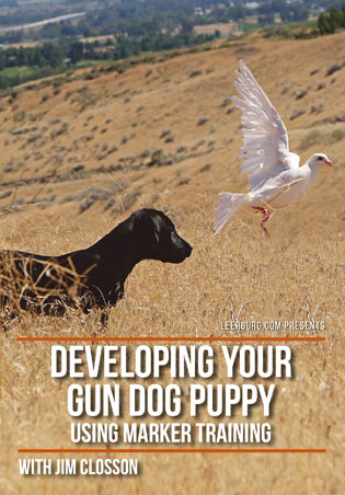 Developing Your Gun Dog Puppy Using Markers with Jim Closson Cover Art