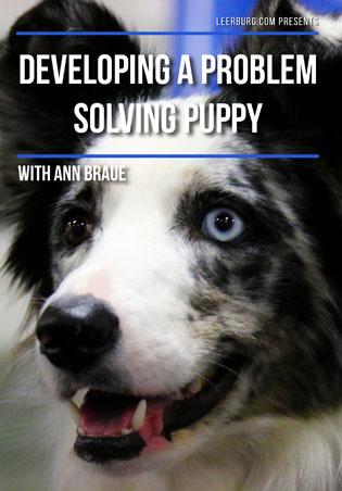 Developing A Problem Solving Puppy with Ann Braue Cover Art