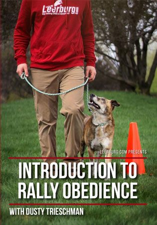 Introduction to Rally Obedience with Dusty Trieschman Cover Art