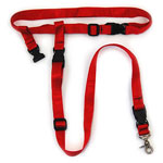 The Buddy System and Accessories