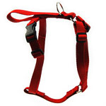 Flyball Harness