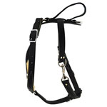 Tracking Harness with Handle