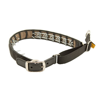 Keeper Collars Hidden Prong with Leather Buckle