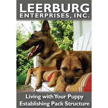 Living with Your Puppy: Establishing Pack Structure