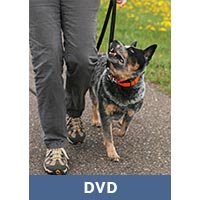 Image of Remote Collar Training for the Pet Owner with Ed Frawley