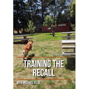 Training the Recall with Michael Ellis