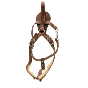 Image of Tracking Harness with Handle