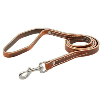 6 foot x 3/4" Leather Leash - SS clasps