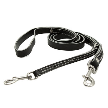 Image of 3/4” Leather Prong Collar Leash  –  4ft or 6ft