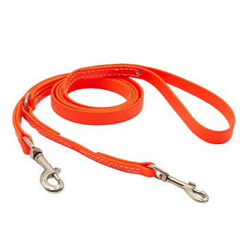 Image of 3/4" BioThane Prong Collar Leash - 2ft or 6ft