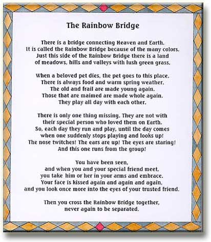 the rainbow bridge