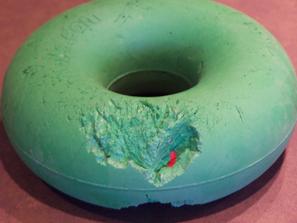 damaged Goughnut