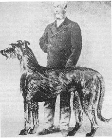 Captain Graham and the resuscitation of the breed