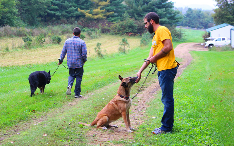 Leash Reactivity with Tyler Muto