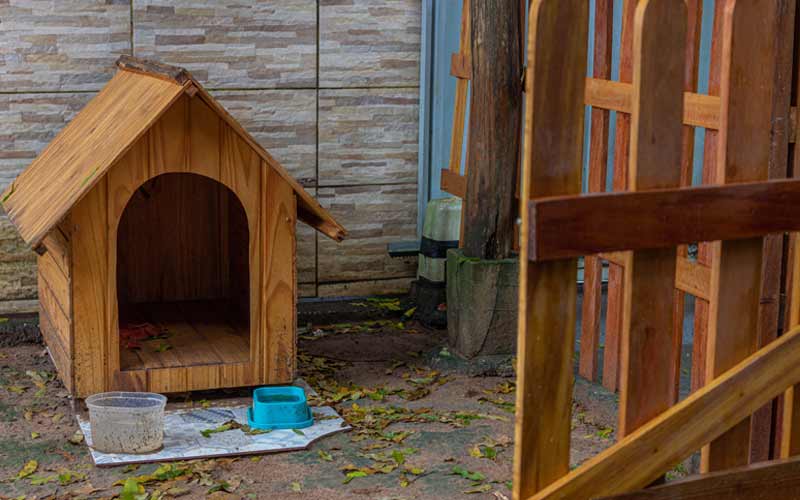 Doghouse Dimensions for Dogs of Various Sizes