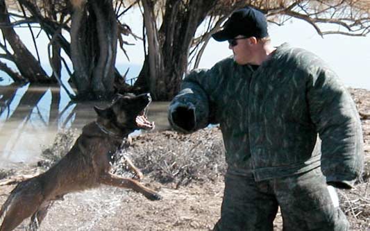 Police K9 Decoy Work and New Course