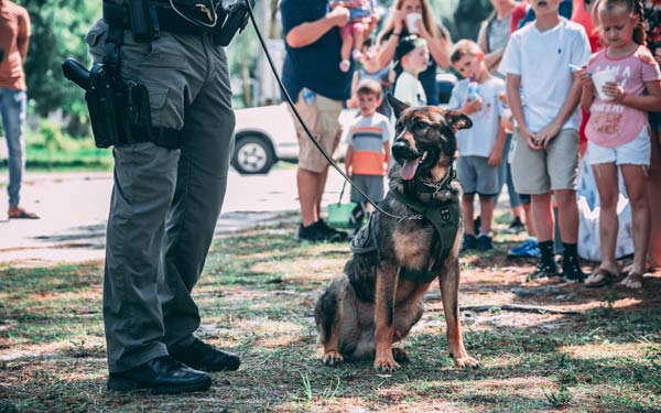Training the Working Dog, Being a K-9 Handler