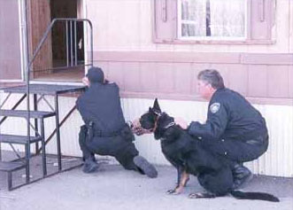 The German Shepherd as a Police Service Dog