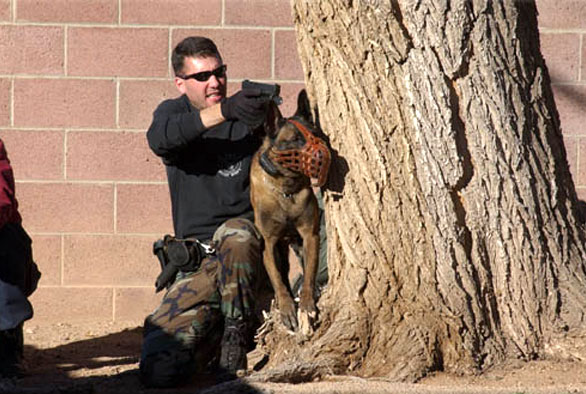 Selection Testing for the Police Service Dog