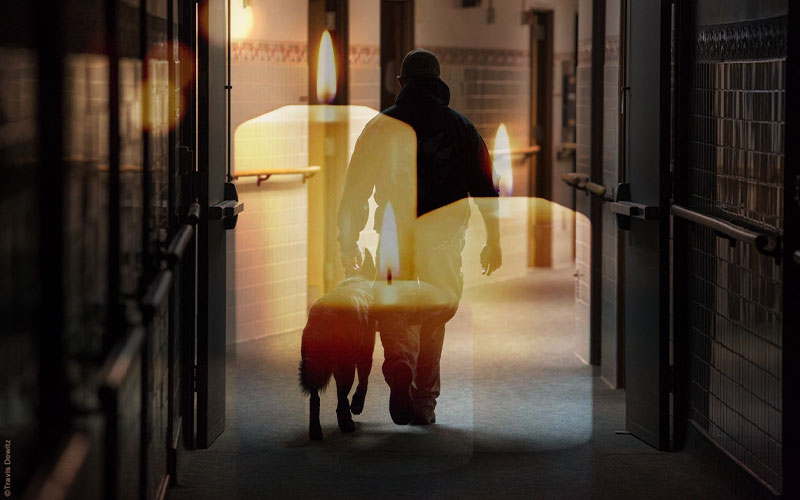 Peace Officer Memorial: The Fallen K9 Heroes of 2025