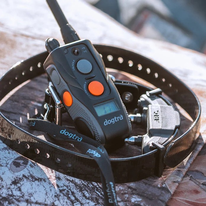 Dogtra ARC Remote Transmitter and Collar receiver