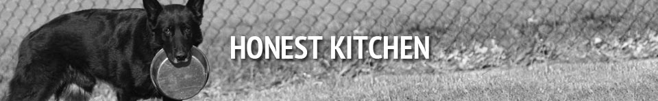 honest kitchen website