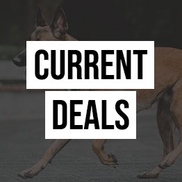 Current Deals