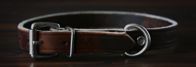 Shop Dog Collars