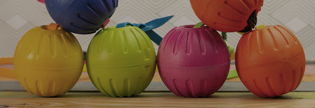 Shop Dog Toys