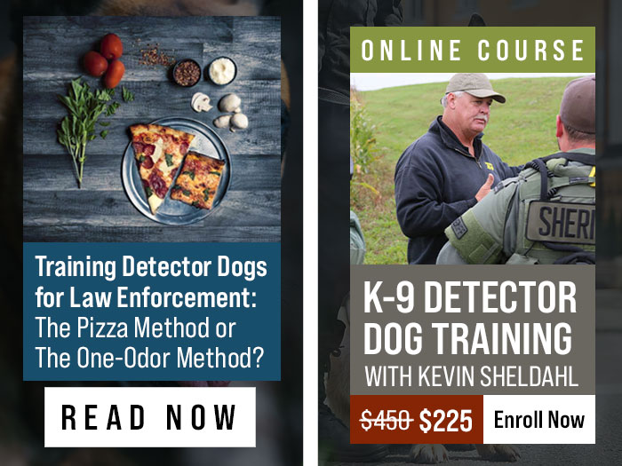 New Detection Training Article and K-9 Detector Dog Course