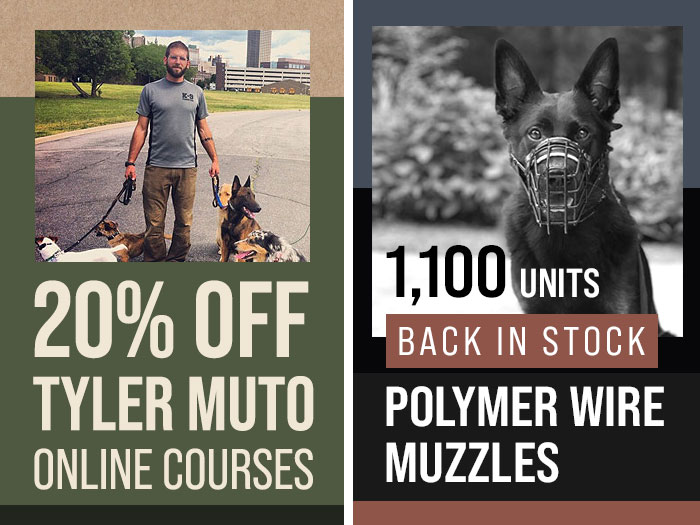 Tyler Muto Sale and Muzzles Back in Stock