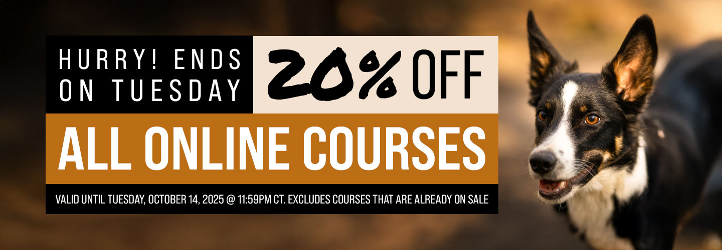 20% Off All Courses - Ends Tuesday