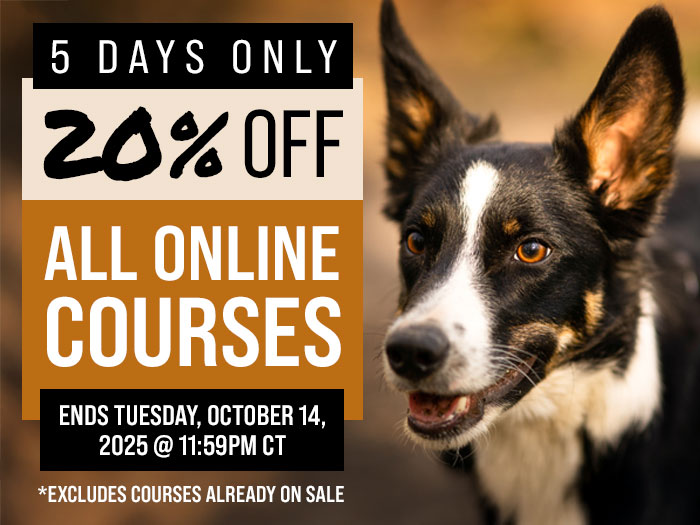 20% Off All Courses - Ends Tuesday