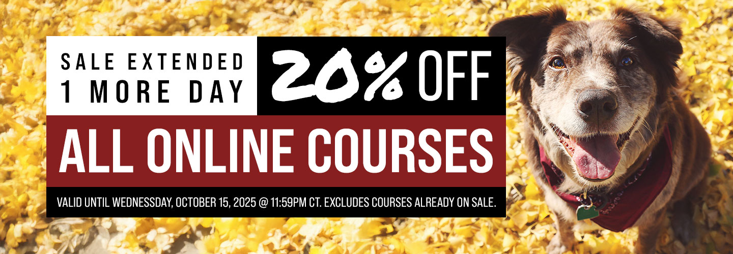 20% Off All Courses - Ends Tuesday