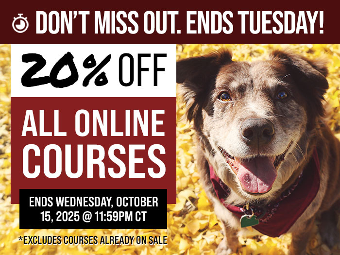 20% Off All Courses - Ends Tuesday