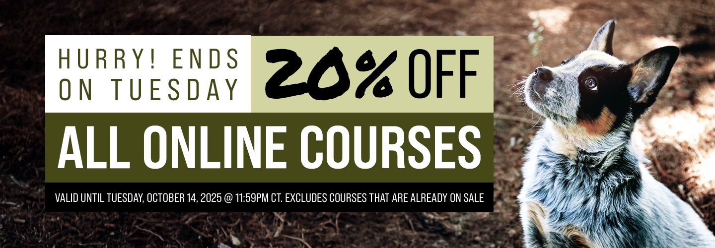 20% Off All Courses - Ends Tuesday