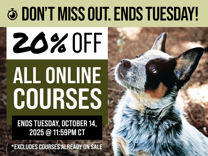 20% Off All Courses - Ends Tuesday
